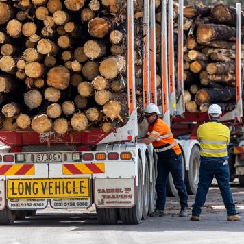 The rear of a truck with lots of wood logs stacked onto it